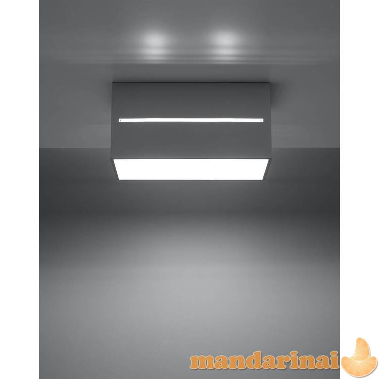 Lubinis šviestuvas lobo 2 pilkos spalvos