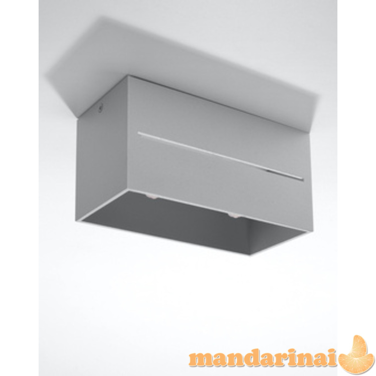 Lubinis šviestuvas lobo 2 pilkos spalvos 8