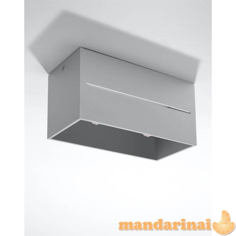 Lubinis šviestuvas lobo 2 pilkos spalvos 1