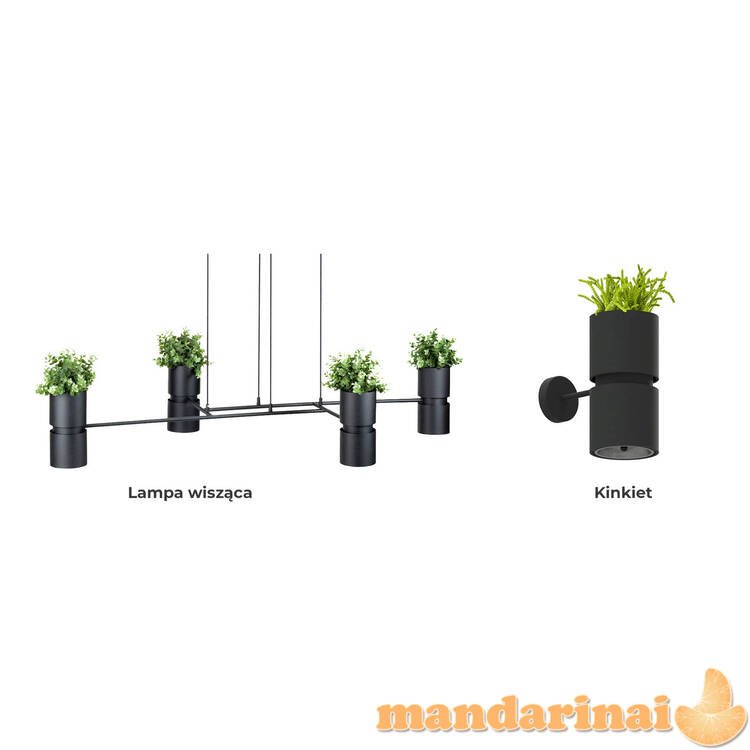 Sieninis šviestuvas gėlės juodos