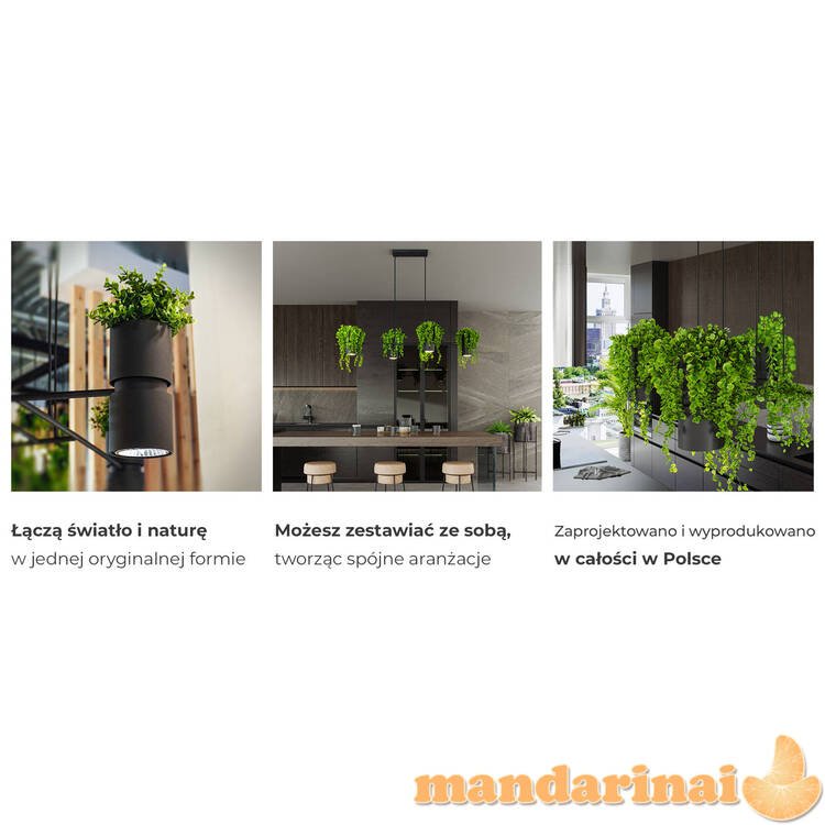 Sieninis šviestuvas gėlės juodos