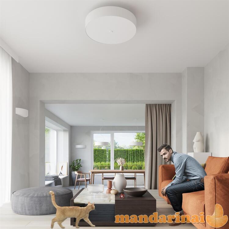 Lubinis šviestuvas SKALA 30 balta 6