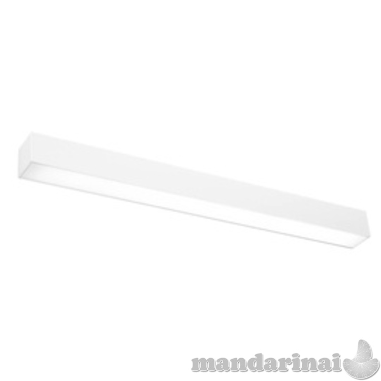 Sieninis šviestuvas PINNE 67 balta