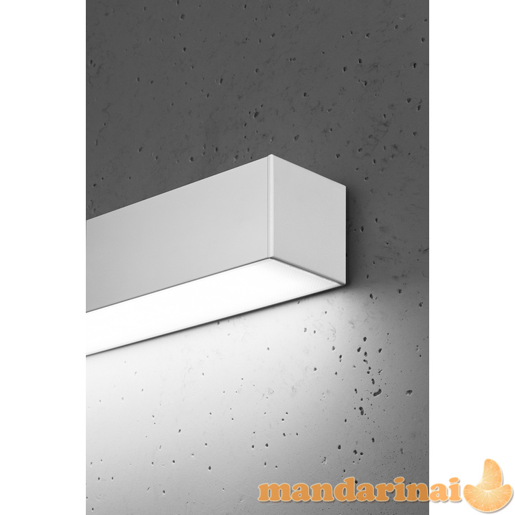 Sieninis šviestuvas PINNE 67 balta