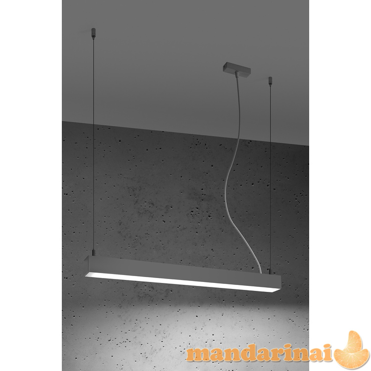 Pakabinama lempa PINNE 67 pilkos spalvos