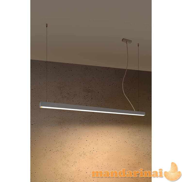 Pakabinama lempa PINNE 150 pilkos spalvos