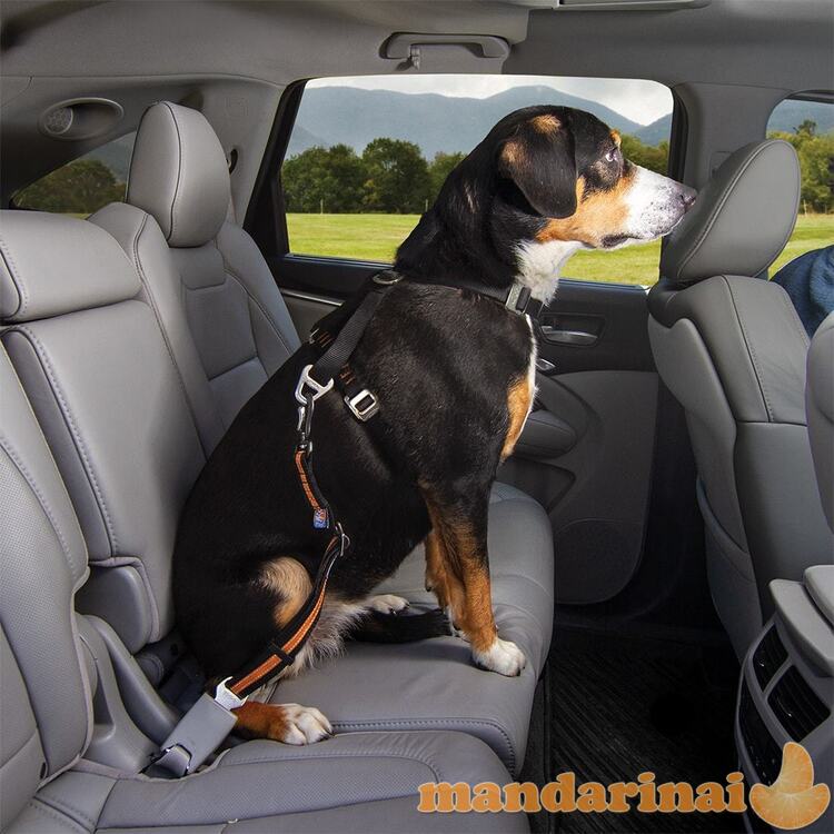 Automobilinis diržas šuniui prisegti oranžinis/juodas