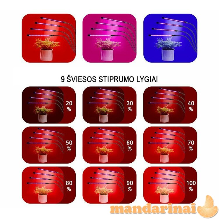 Programuojama keturguba pilno spektro lempa su tvirtinimu