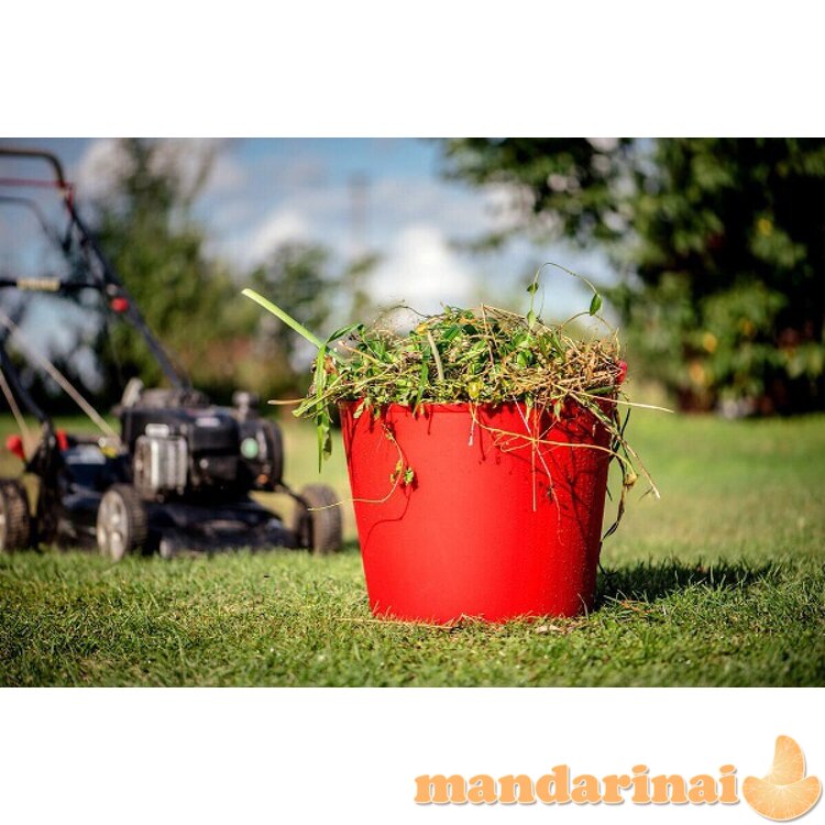 Krepšys POPPY - 30 L