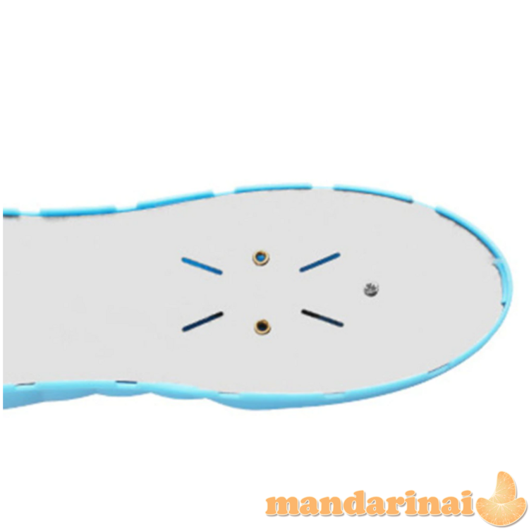 Elektrinis batų džiovintuvas