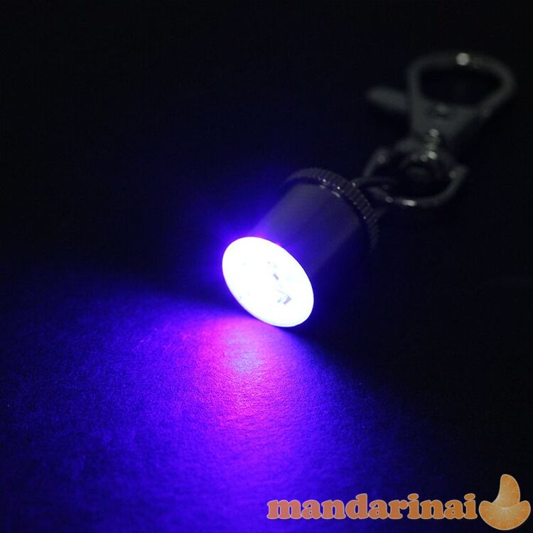 ŠVIEČIANTIS ŠUNS PAKABUKAS