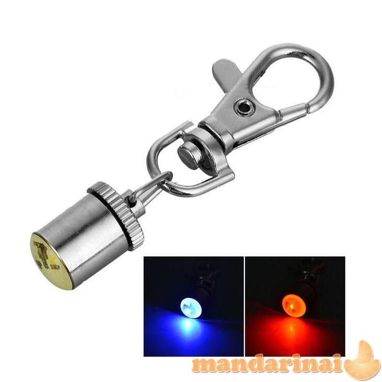 ŠVIEČIANTIS ŠUNS PAKABUKAS