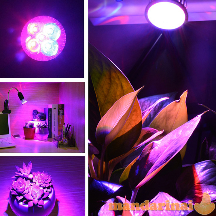 Pilno spektro 10W lempa augalų auginimui 3