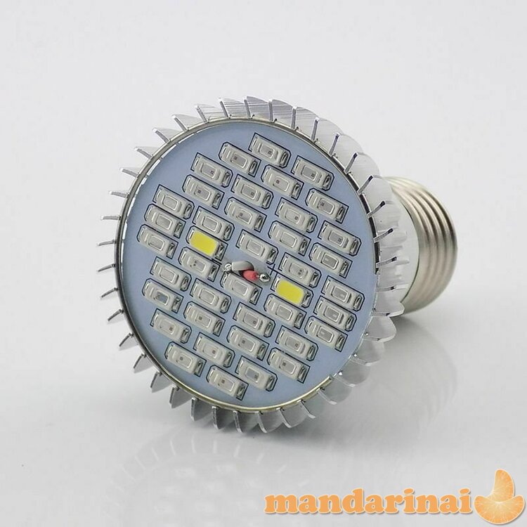 Pilno spektro 30W 40 led modulių lempa augalų auginimui