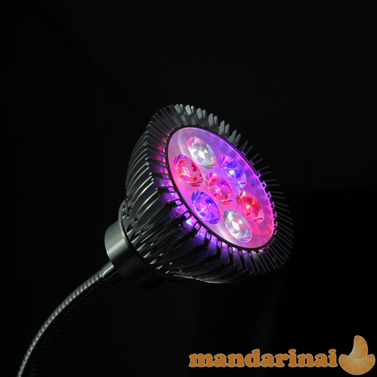 Pilno spektro 25W lempa augalų auginimui su tvirtinimu