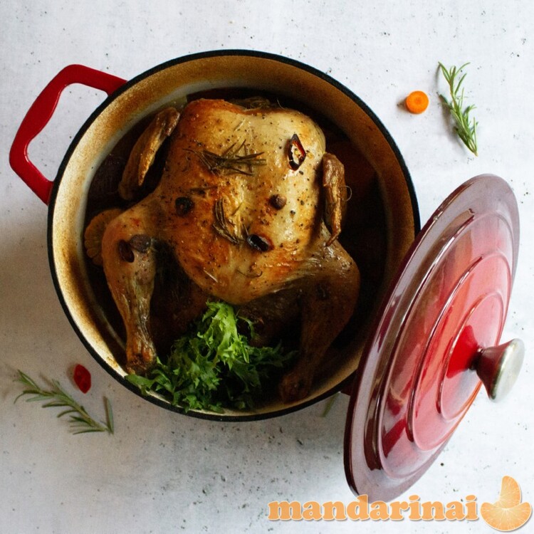 Apvalus emaliuotas ketaus puodas 