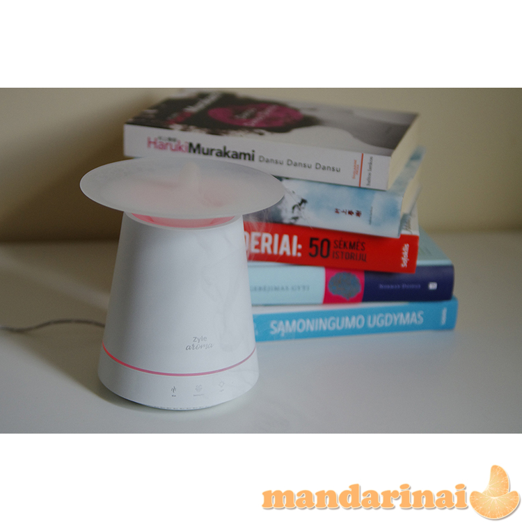 Kvapų difuzorius Zyle  1