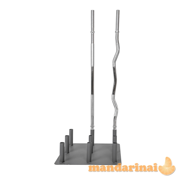 Stovas grifamas inSPORTline BR3001, skirtas 30-mm grifams 2