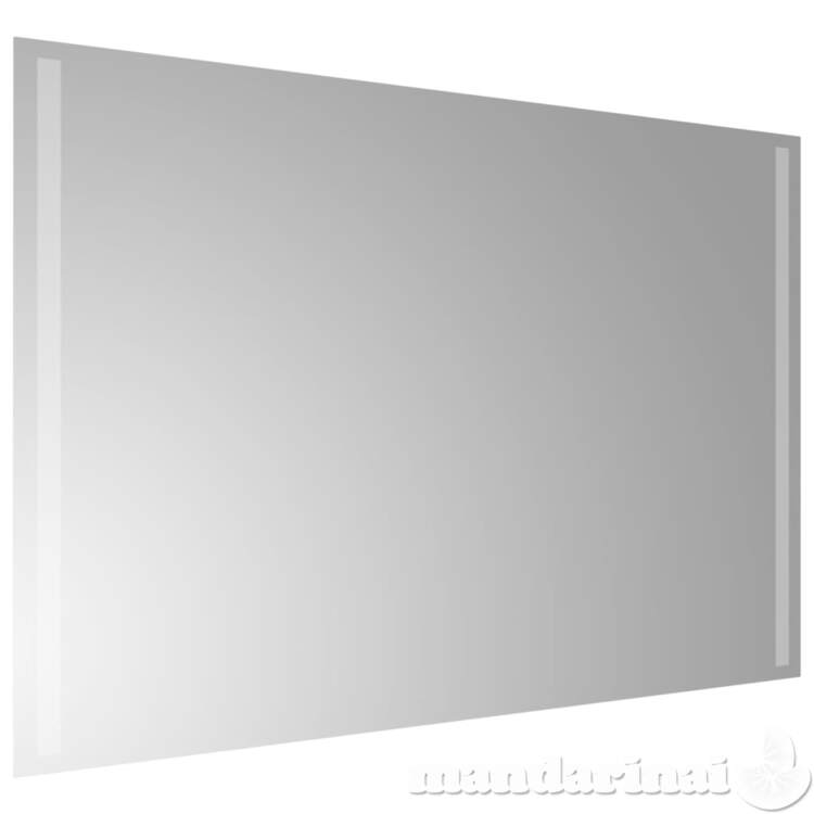 Vonios kambario led veidrodis, 60x90cm