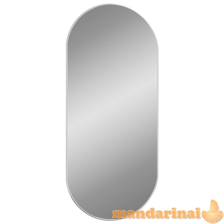 Sieninis veidrodis, sidabrinės spalvos, 100x45cm, ovalo formos