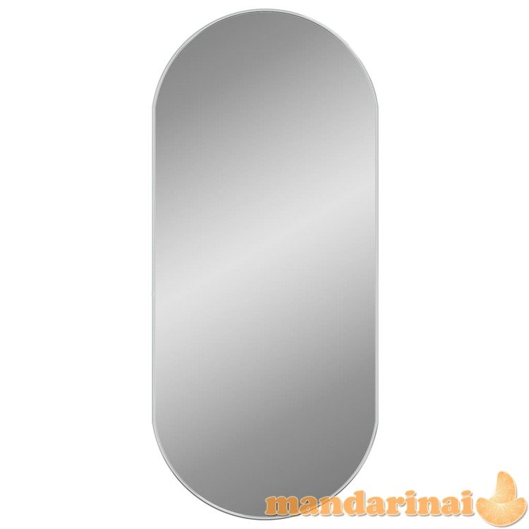 Sieninis veidrodis, sidabrinės spalvos, 100x45cm, ovalo formos