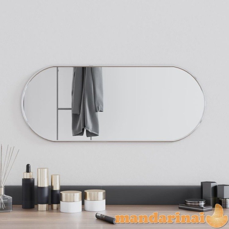 Sieninis veidrodis, sidabrinės spalvos, 60x25cm, ovalo formos