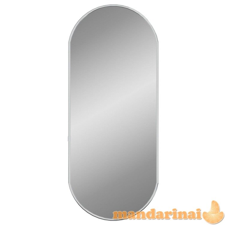 Sieninis veidrodis, sidabrinės spalvos, 60x25cm, ovalo formos