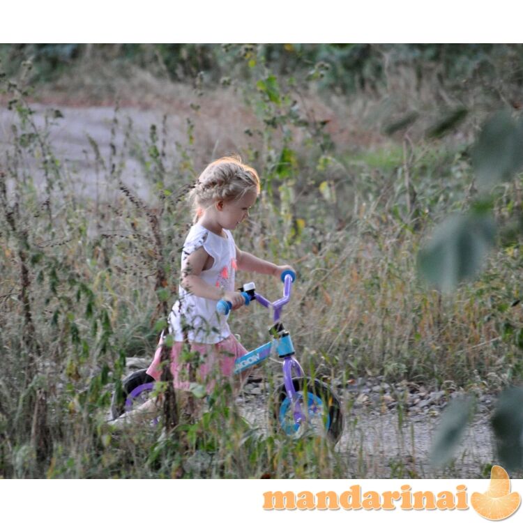 Milly Mally Walking Bike Dragon Air Black