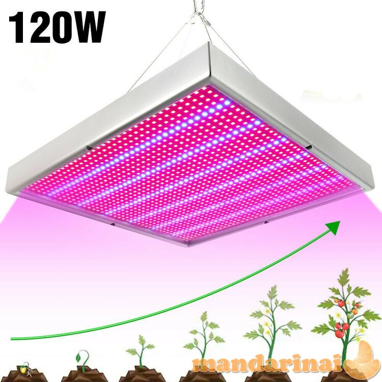 120W panelė augalų daiginimui ir auginimui