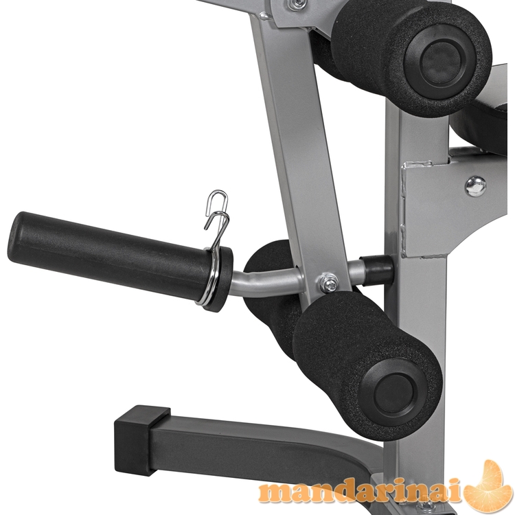 Daugiafunkcis treniruoklis inSPORTline PW60