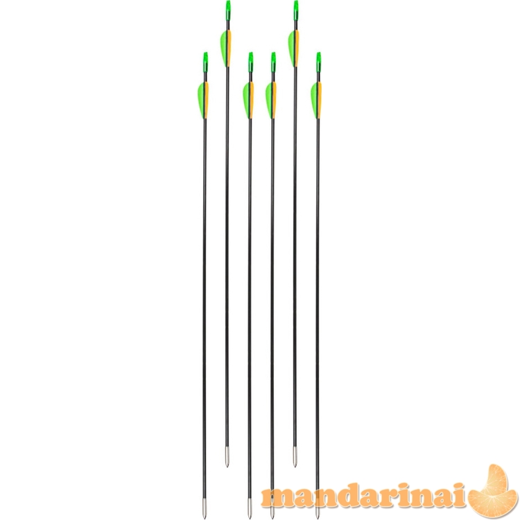 Laminuotos strėlės inSPORTline Klarkson 30, 6 vnt.