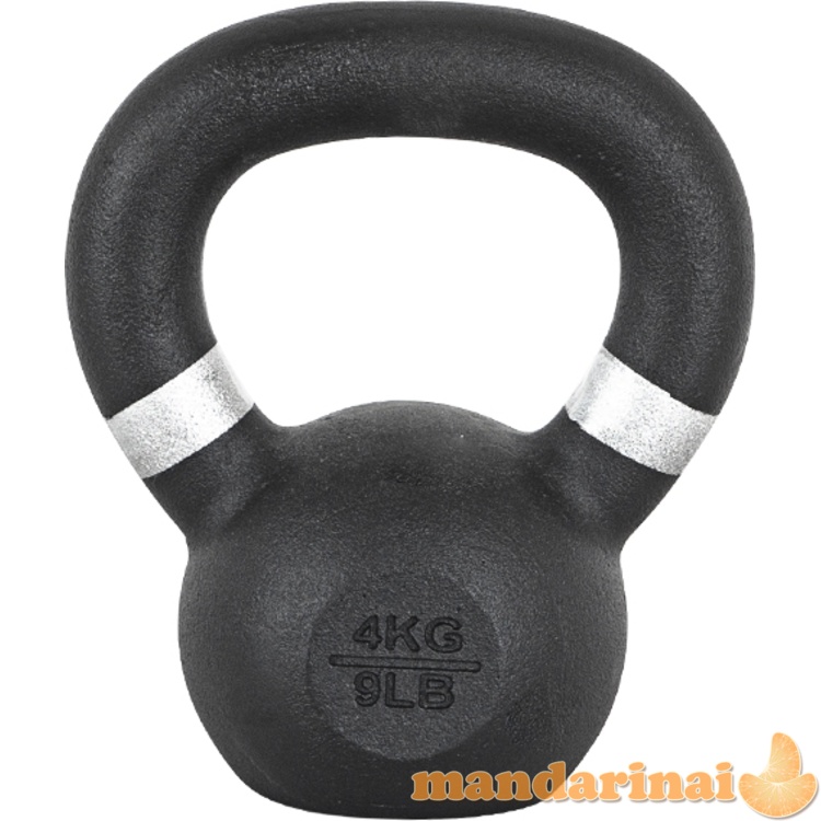 Ketaus svarmuo inSPORTline Powder 4 kg