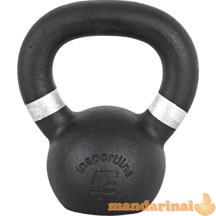 Ketaus svarmuo inSPORTline Powder 4 kg