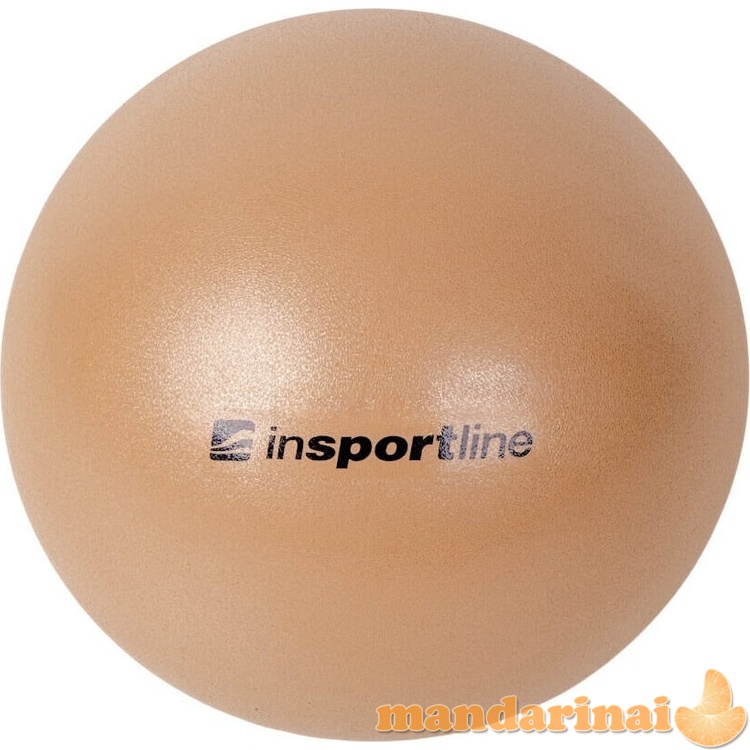 Gimnastikos kamuolys inSPORTline Aerobic Ball 20 cm