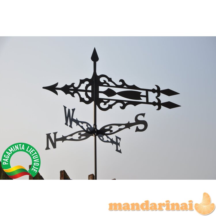 Vėjarodis ,,Figūrinis 2