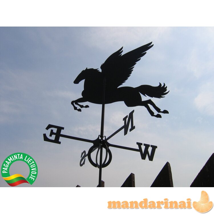 Vėjarodis ,,Pegasas