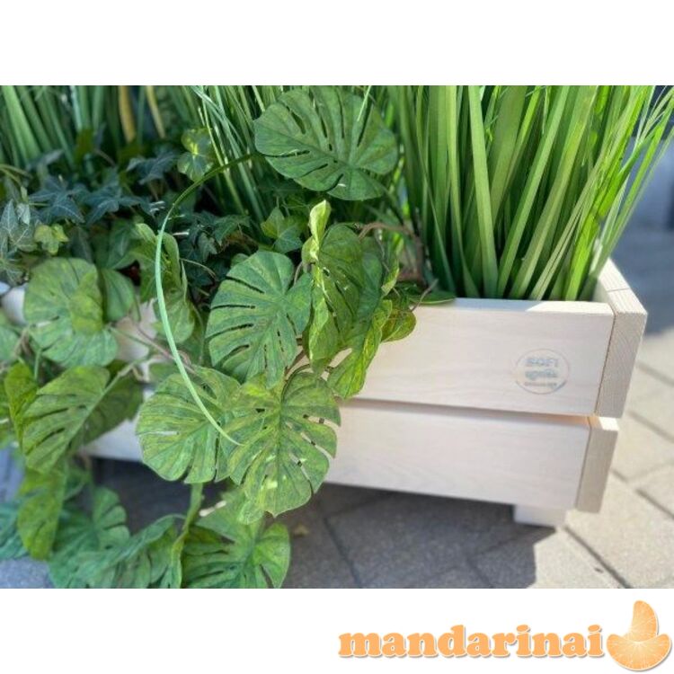 Medinis baltas vazonas