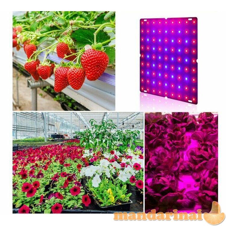Pilno spektro 81 LED panelė augalų auginimui