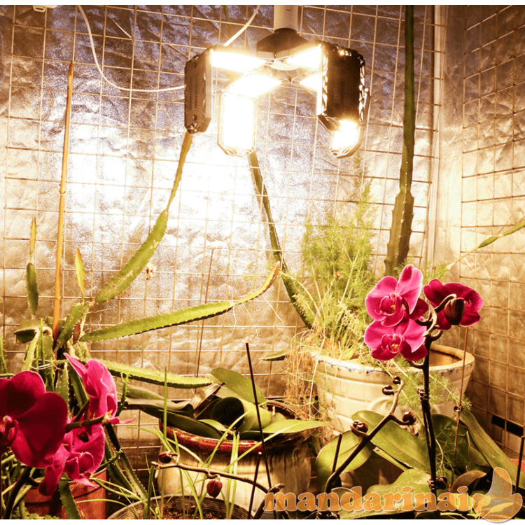 672 pilno spektro LED modulių lempa augalams auginti