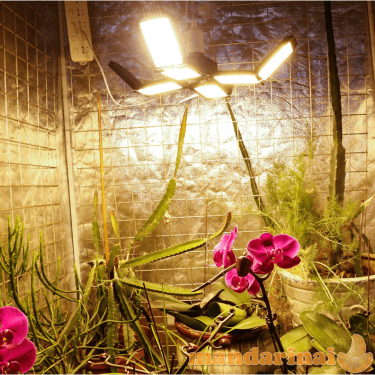 672 pilno spektro LED modulių lempa augalams auginti