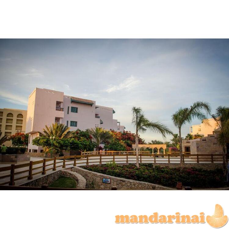 Kelionė į Hurgadą su "Viskas įskaičiuota"! Zahabia Hotel & Beach Resort 3*