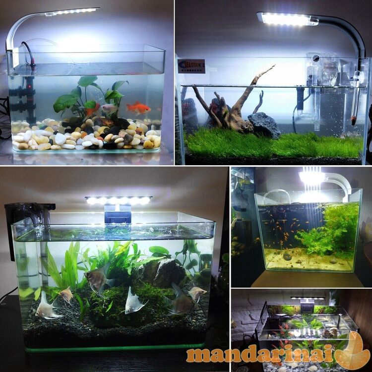 LED lempa akvariumo augmenijai bei gyvūnijai