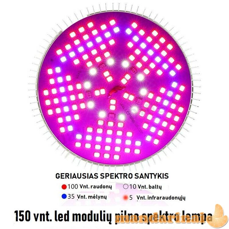 100w pilno spektro lempa augalų auginimui
