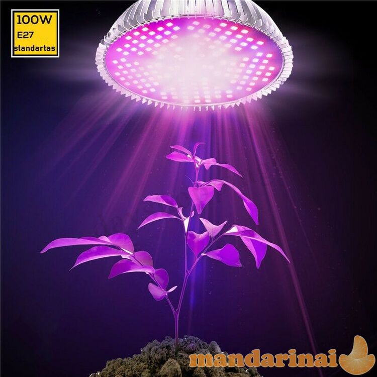 100w pilno spektro lempa augalų auginimui