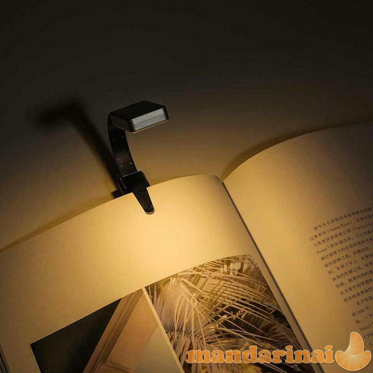Pakraunama skaitymo lemputė