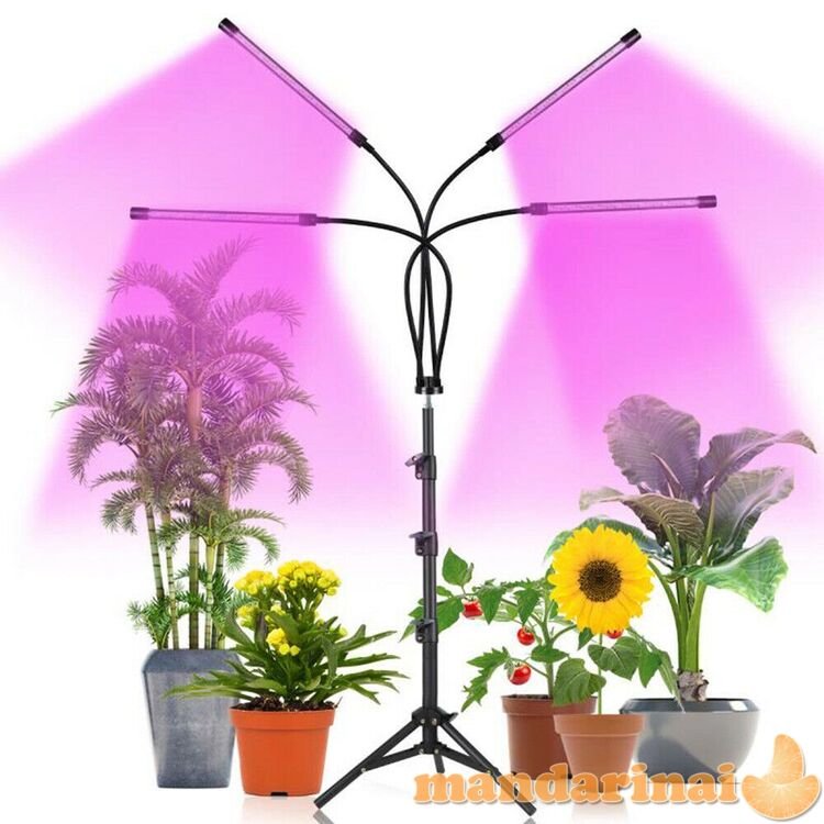 Programuojamas keturgubas šviestuvas augalams su stovu