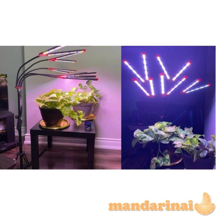 960 modulių pilno spektro lempą augalams auginti su stovu