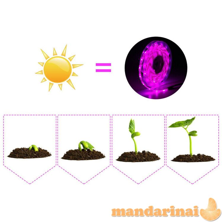 LED juosta augalams auginti