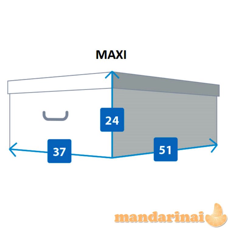Kartoninė dėžutė MAXI BLUE GRATE