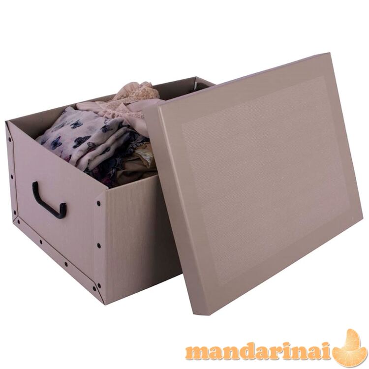 „Maxi Classic Cream Cardboard“ dėžutė